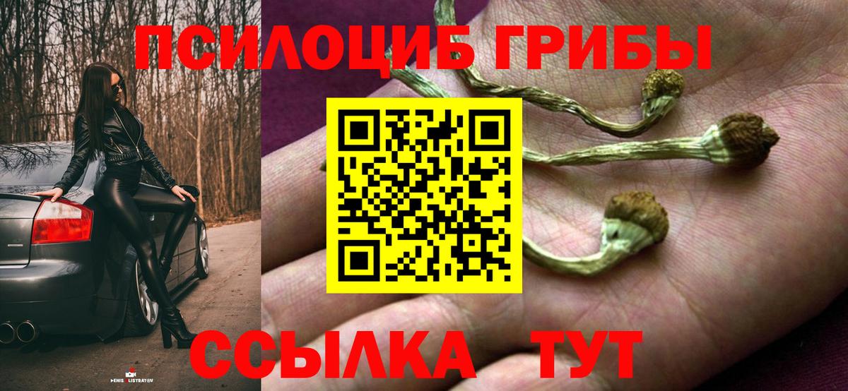 Псилоцибиновые грибы прущие грибы Сергиев Посад